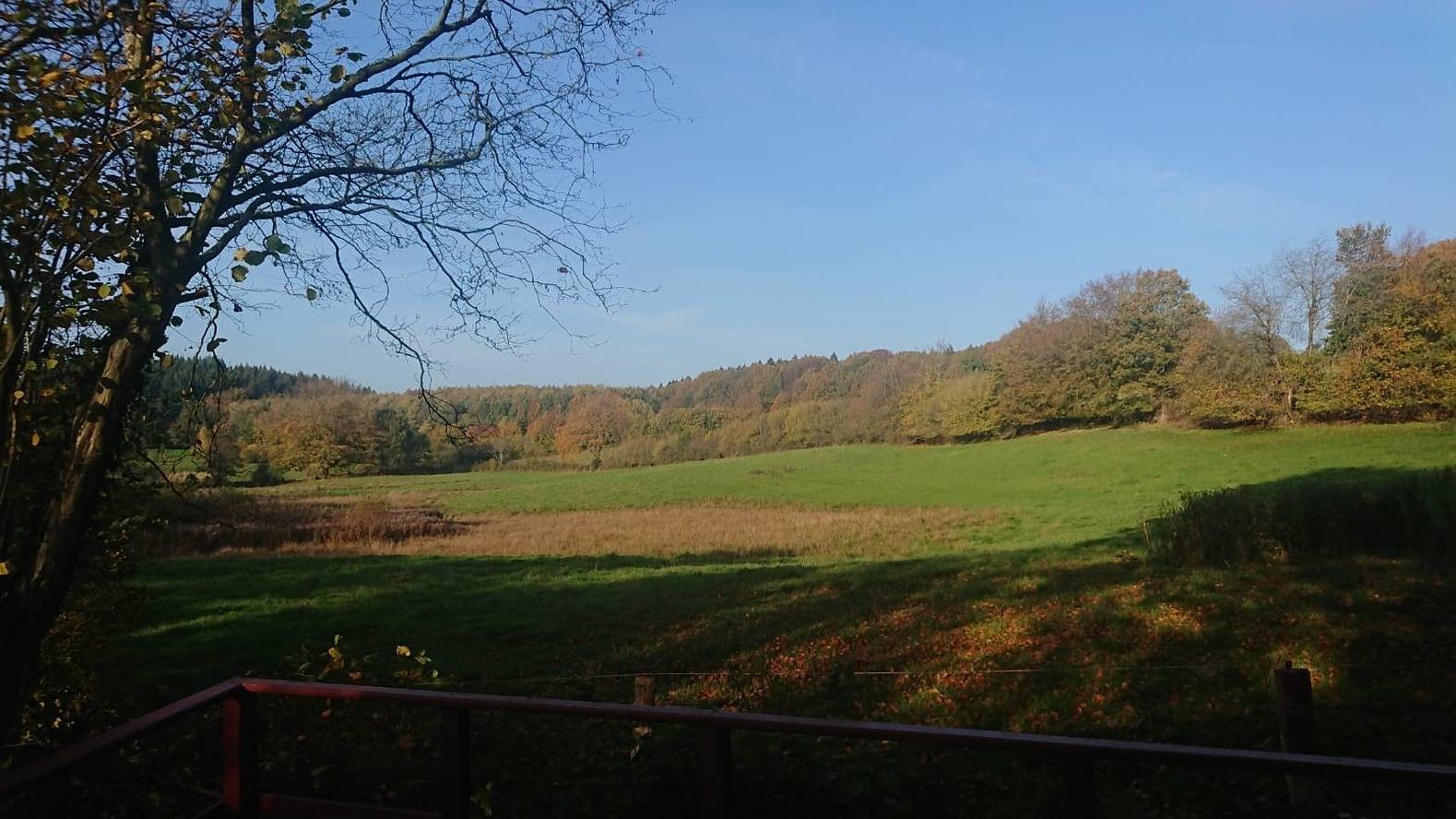 Nature´s Essence in Ascheffel, Rendsburg-Eckernförde