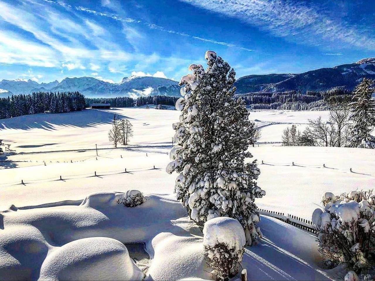 Ganze Ferienwohnung, Alpen Panoramahof - Ferienwohnung, 2 Schlafzimmer, Bad + Dusche/Wc in Nesselwang, Bayerisch Schwaben