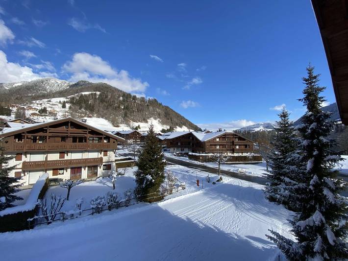 Apartamento entero, Estudio cabina en Praz-sur-Arly - 4 pers, mascotas, parking in Praz-sur-Arly, Pays du Mont-Blanc