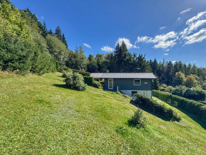 Ferienhaus für 3 Personen, mit Garten, mit Haustier im Thüringer Wald - 2