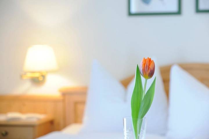 BnB für 2 Personen, mit Sauna und Garten sowie Ausblick in Fuschl am See - 2