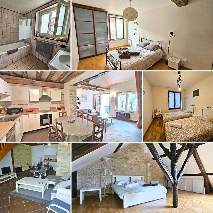 Gîte pour 12 personnes, avec jardin et vue à Moret-sur-Loing - 3