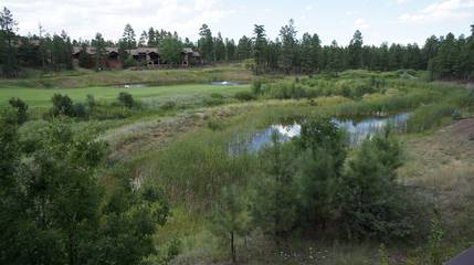 Log Cabin for 8 Guests in Show Low, Navajo County, Picture 1