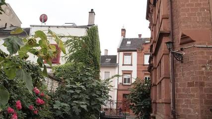 Hütte für 4 Personen in Neustadt an der Weinstraße, Pfälzer Rheinebene, Bild 3