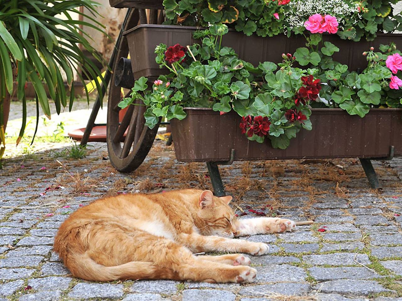 Ganze Ferienwohnung, Hof Türke - Ferienwohnungen und Gästezimmer - Ferienwohnung "Eisenberg" in Moritzburg, Meißen Region