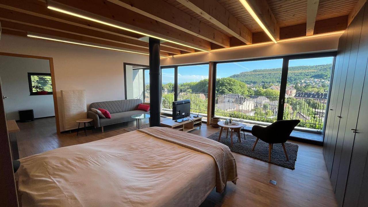Appartement entier, Apartment in Guebwiller, Parc naturel régional des Ballons des Vosges