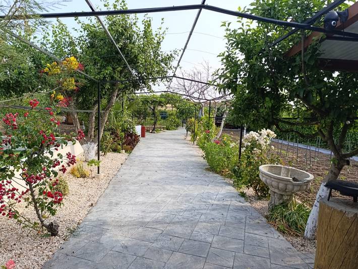 Casa de vacaciones para 12 personas, con jardín en Provincia de Toledo - 3