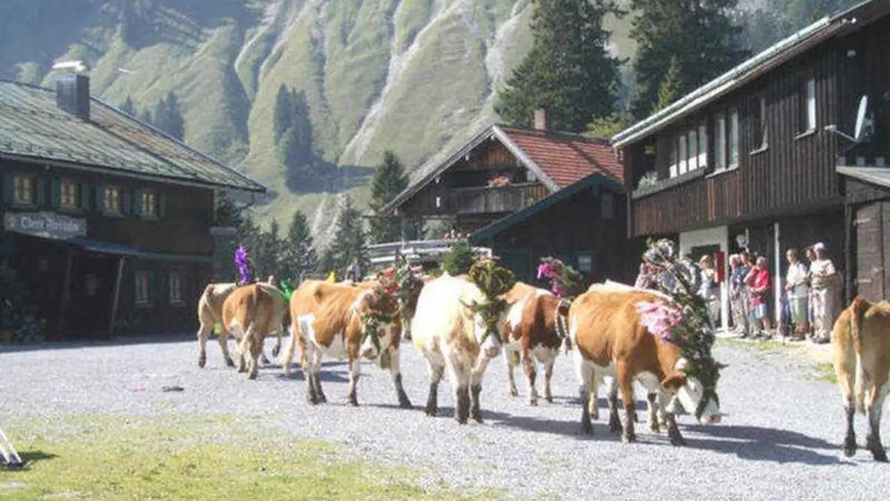 Ferienhaus für 2 Personen (30 m²) in Schliersee in Schliersee, Spitzingsee