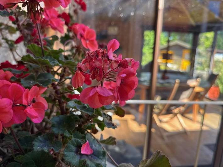 Villa pour 7 personnes, avec piscine et jacuzzi ainsi que sauna et terrasse dans Seine-et-Marne - 4