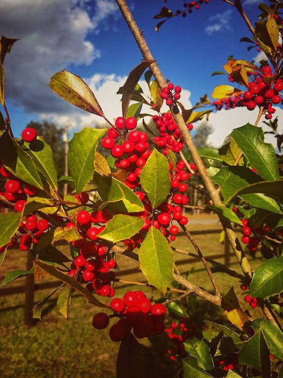 Pool Home Retreat · Tesla Ev Charger · Firepit · Rv/Boat Access Near Ramp in Clay County (FL)