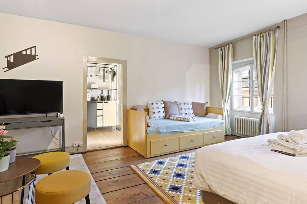 Ganze Wohnung, Bright studio in Freiburg's old town in Freiburg im Üechtland, Kanton Freiburg