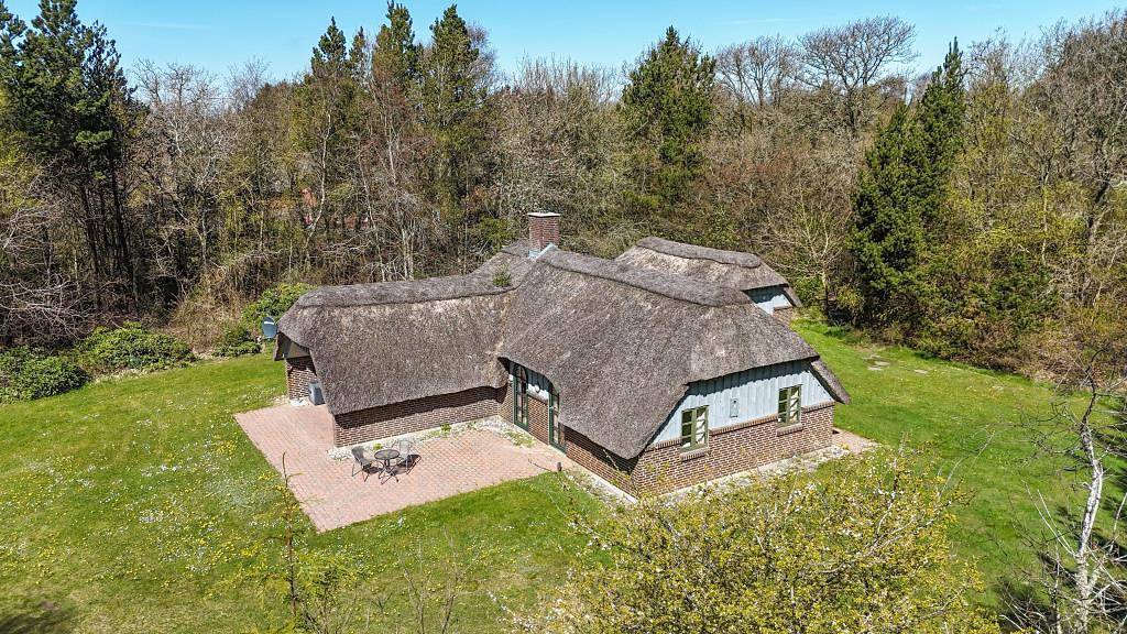 Traditionelles Reetdachhaus mit viel Holz, Kaminofen und überdachter Terrasse – 3 Schlafzimmer in Vester Husby, Husby (Dänemark)