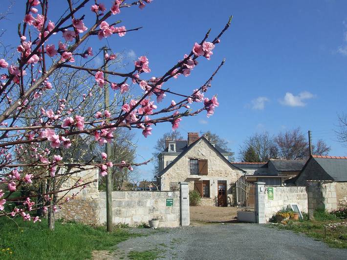 Gîte pour 4 personnes, avec terrasse et jardin