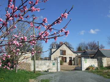 Gîte pour 4 personnes, avec jardin et terrasse dans Maine-et-Loire