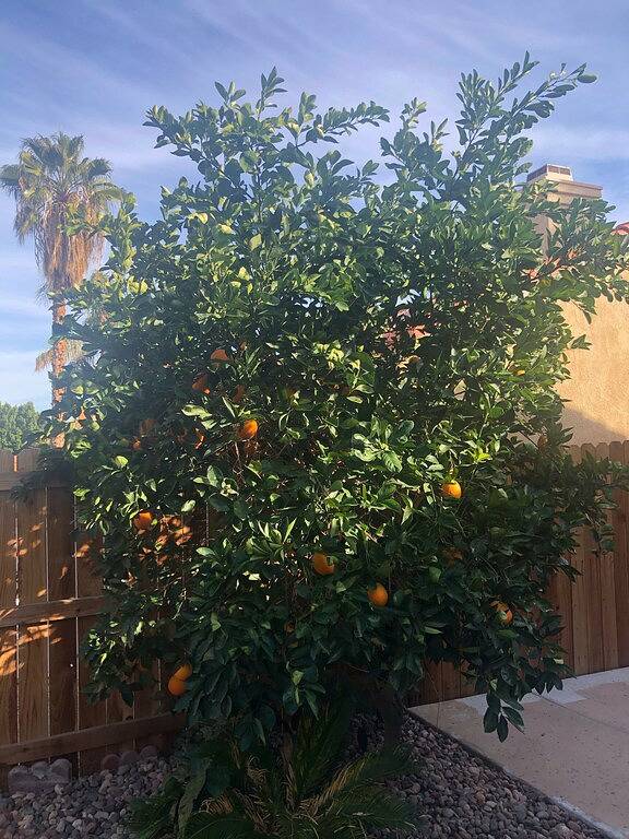 Vacation rental for 6 people, with hot tub and yard as well as terrace in La Quinta (CA)