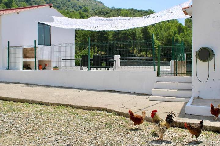 Casa rural para 3 personas, con Balcón y Terraza además de Piscina y Vistas en Caudiel - 3