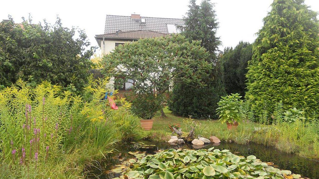 Ganze Ferienwohnung, Ferienwohnung für 2 Personen (40 m²) in Laucha (Sachsen-Anhalt) in Laucha an der Unstrut, Saale-Unstrut