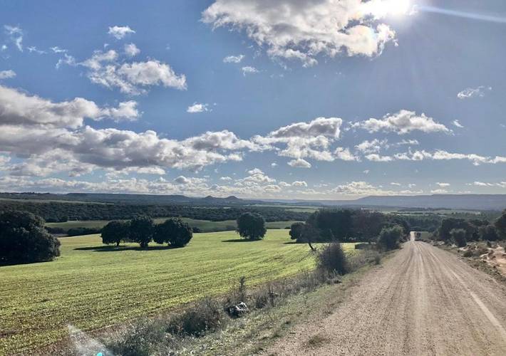 Chalet para 17 personas, con vistas además de piscina y jardín, Se admiten mascotas en Provincia de Cuenca - 4