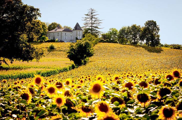 Château pour 12 personnes, avec terrasse et jardin dans le Lot-et-Garonne - 4