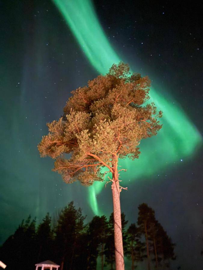 Location de vacances pour 2 personnes, avec jardin, animaux acceptés à Sorsele - 3