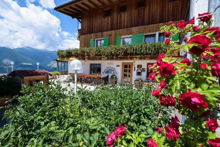 Hotel per 1 persone, con animali domestici - 1