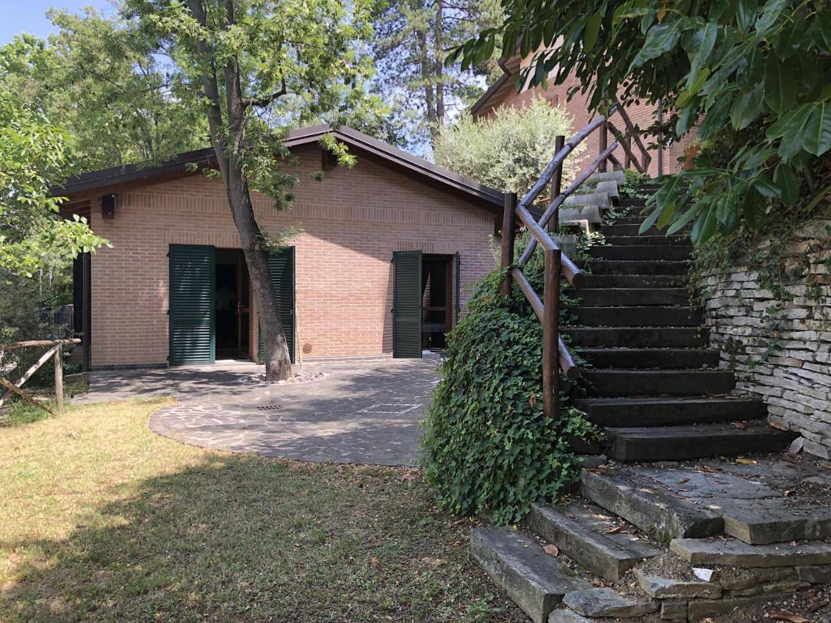 B&B La Collina degli Ulivi in Zola Predosa, Province de Bologne