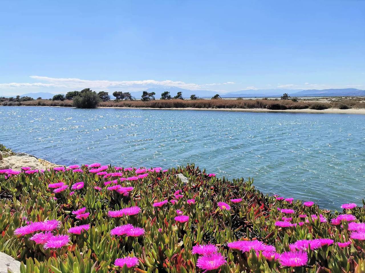 Villa T1 Cab Mezz 5 Übernachtungen Port Leucate in Port Leucate, Leucate