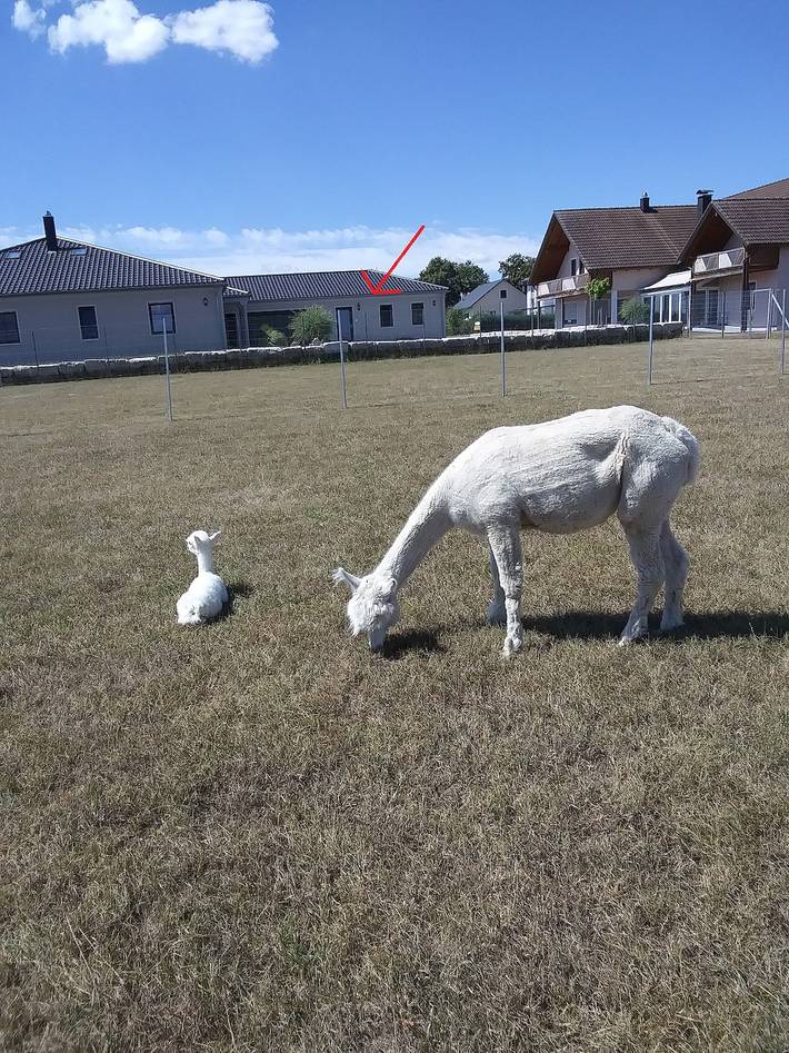Ferienhaus für 2 Personen, mit Balkon/Terrasse und Balkon in Bayerischer Jura - 4