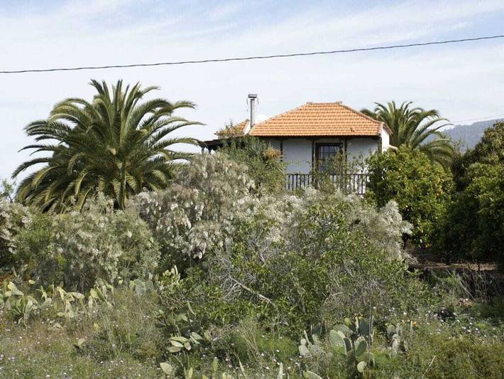 Ferienhaus für 4 Personen, mit Terrasse und Garten, mit Haustier