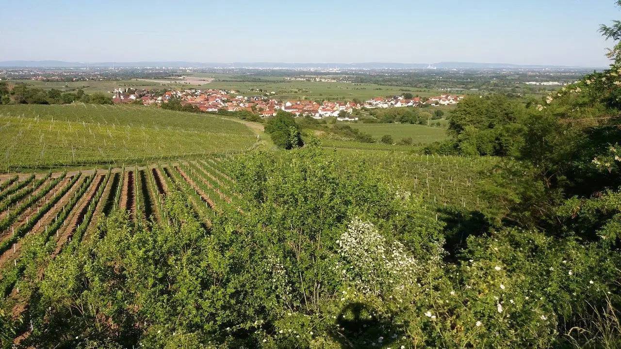 Appartement de vacances entier, Appartement de vacances pour 2 personnes avec jardin in Bad Dürkheim, Pfälzer Rheinebene