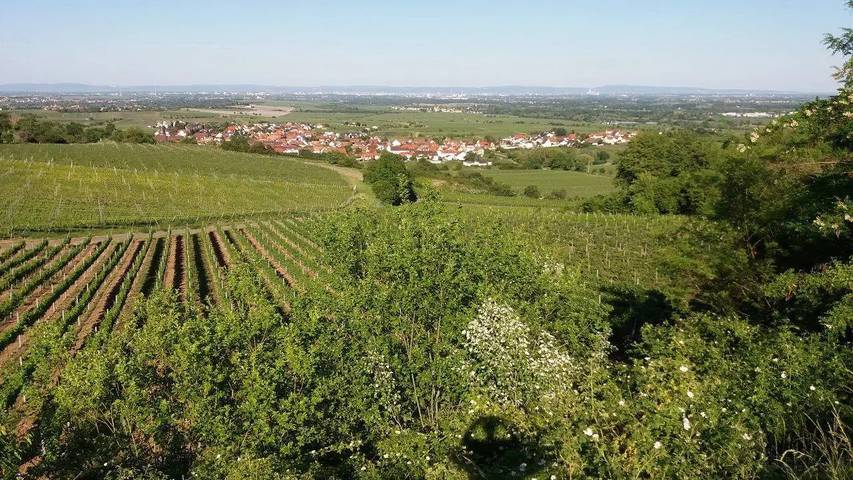 Ferienwohnung für 2 Personen, mit Garten im Pfälzer Wald
