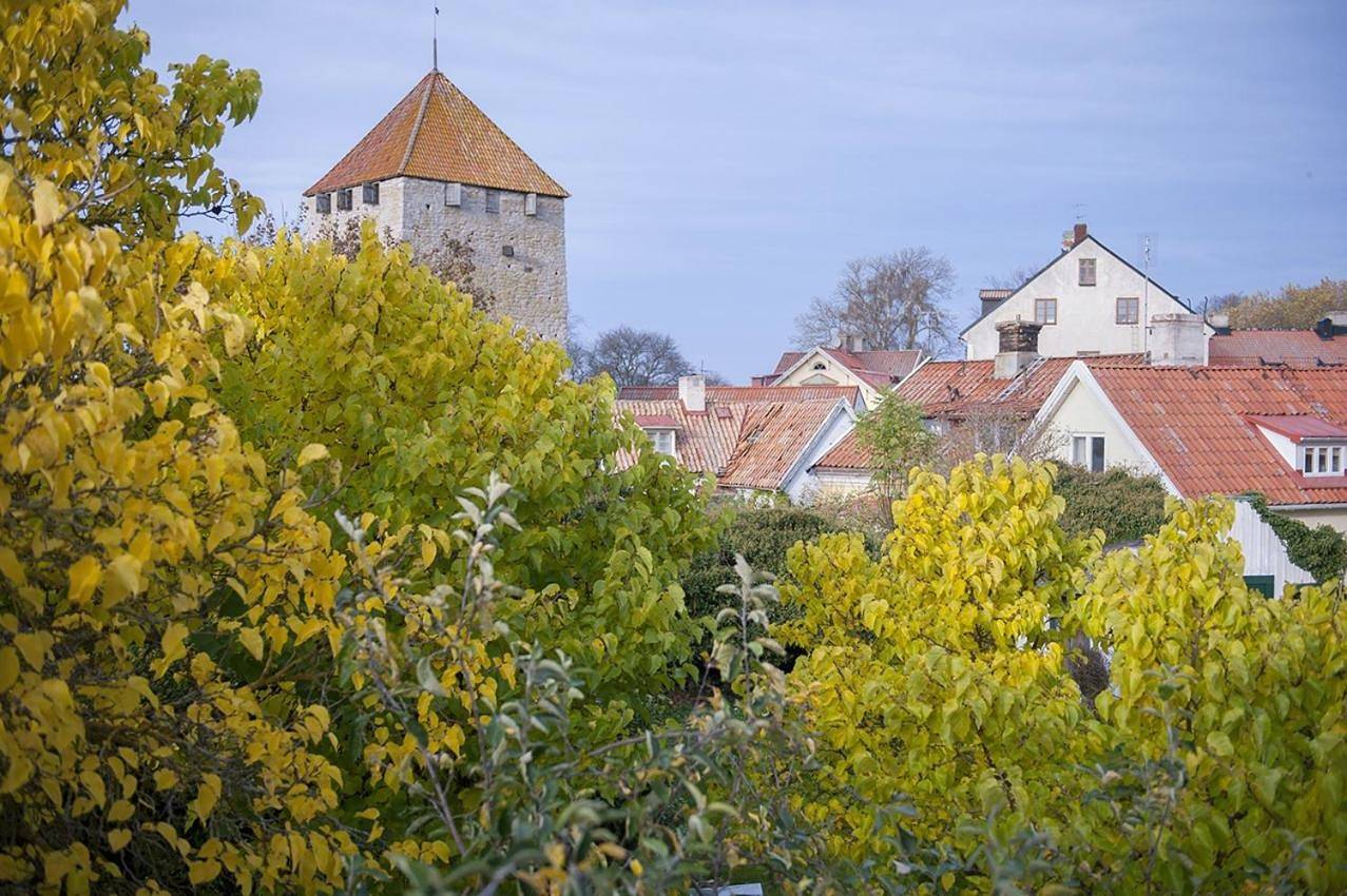 Mullbärsgårdens Rooms, Apartments & Villas in Visby, Gotland