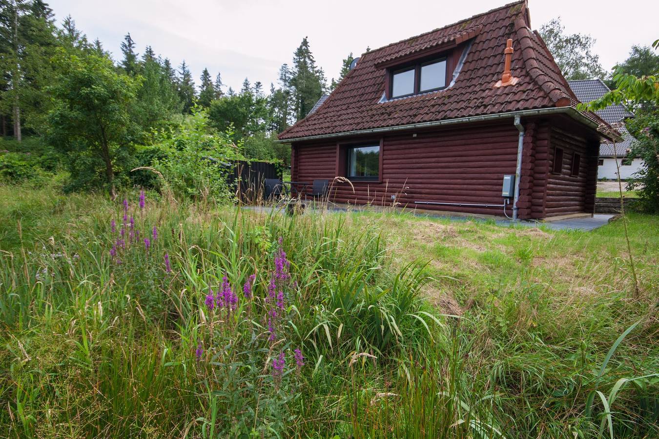 Ferienhaus 'Blockhaus Quellental' mit Seeblick, privater Terrasse und Wi-Fi in Odderade, Albersdorf und Umgebung