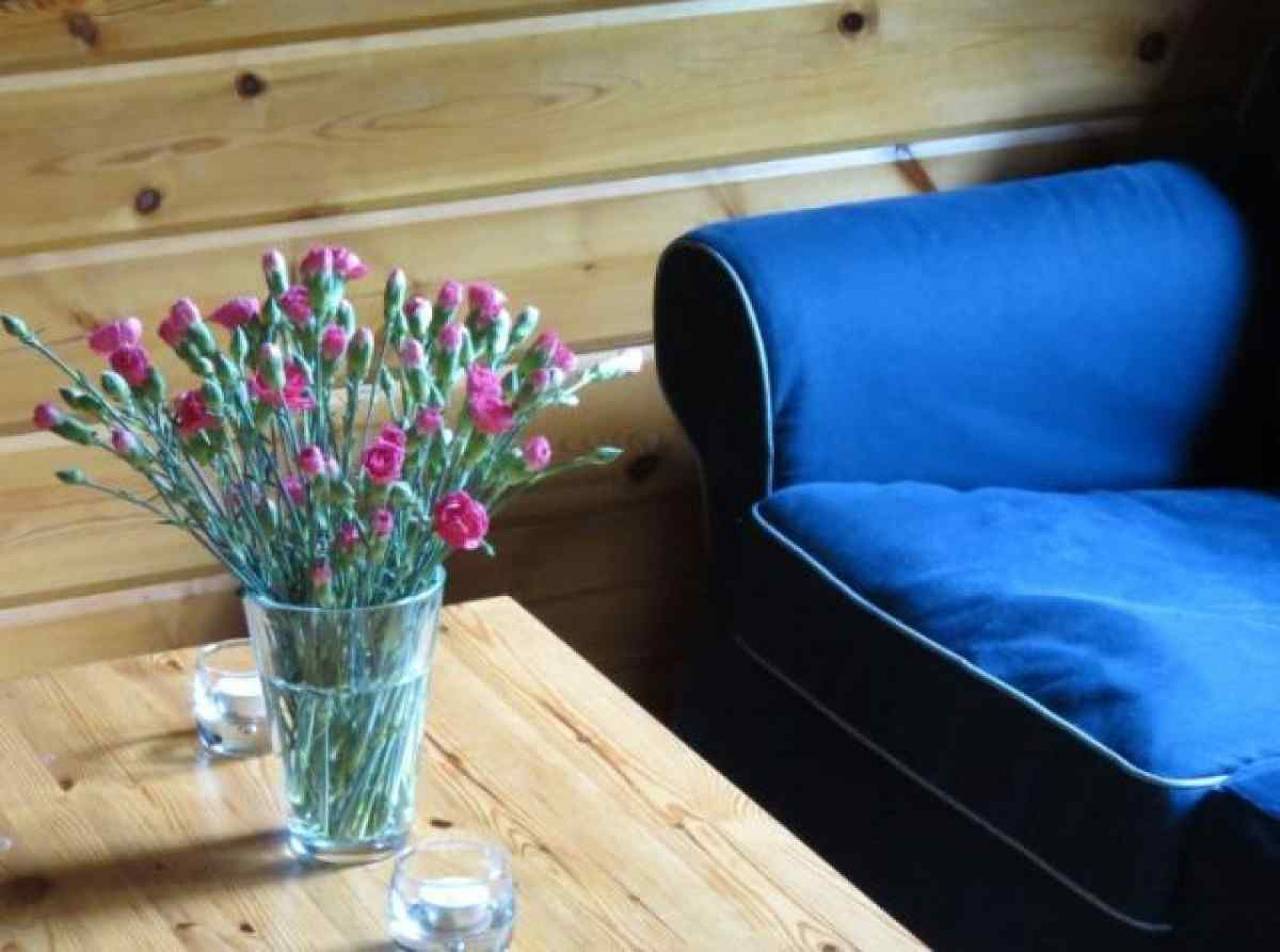 Sehr ruhige Lage Chalet für 4 Personen in der Achterhoek in Achterhoek