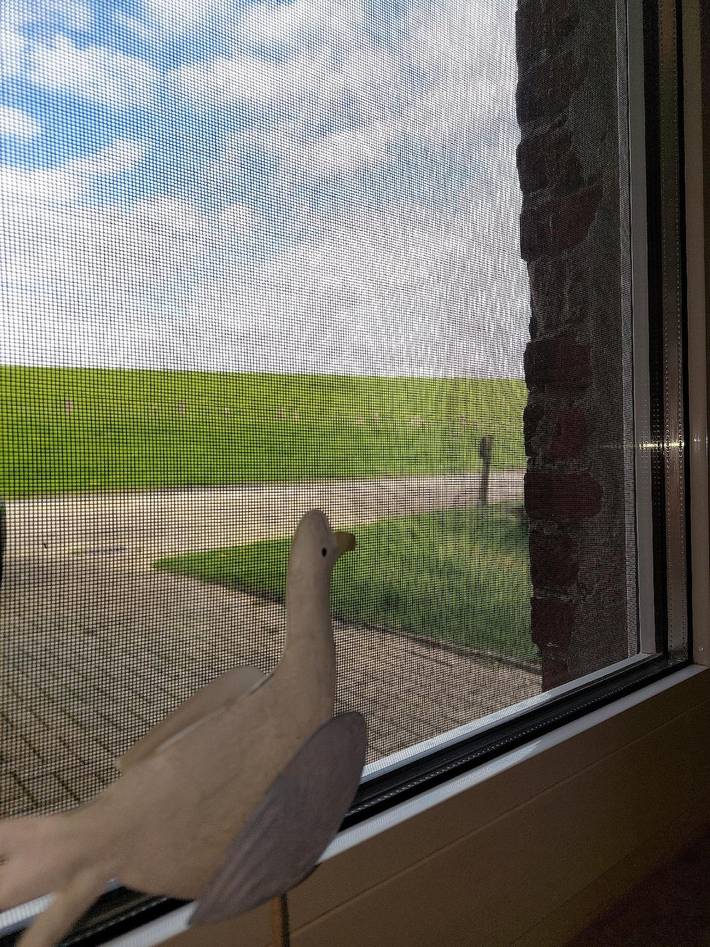 Ferienwohnung für 2 Personen, mit Terrasse und Garten, mit Haustier in Butjadingen - 3