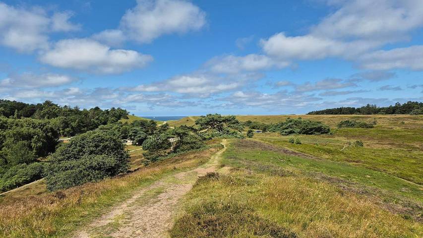 Ferienhaus für 7 Personen, mit Garten in Tisvilde - 4