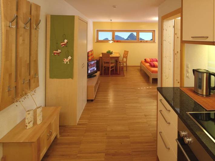 Ferienwohnung mit 1 Schlafzimmer in Bregenzerwald (Vorarlberg), Damüls