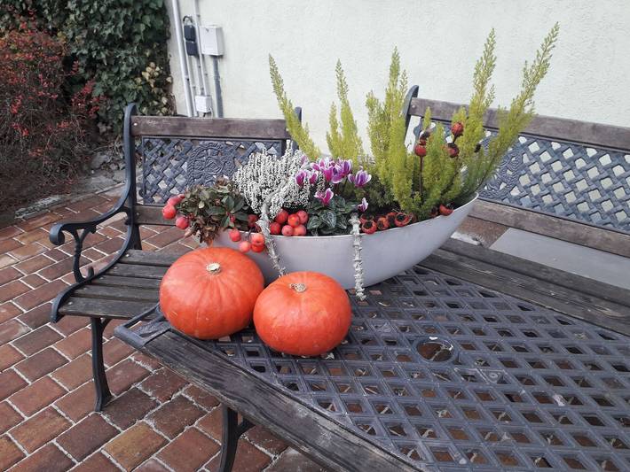 Ferienwohnung für 2 Personen, mit Terrasse in Blankenburg - 2
