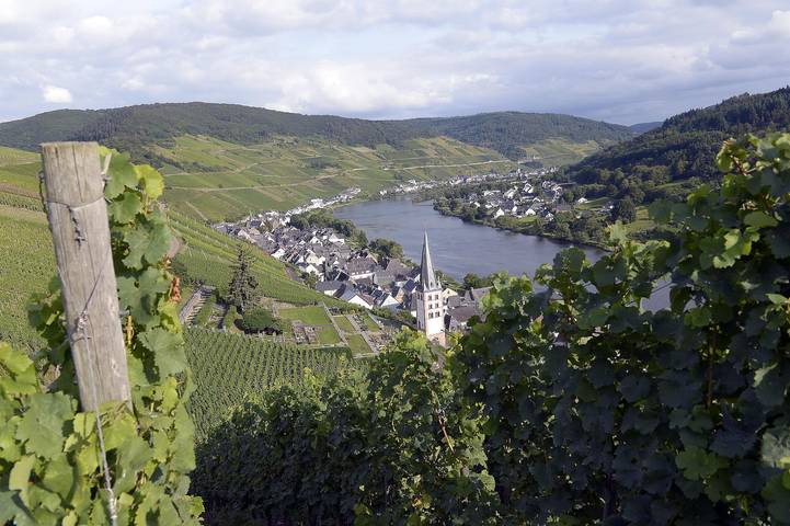 Entire holiday apartment, Apartment, shower and bath, toilet, balcony in Merl, Zell (Mosel)