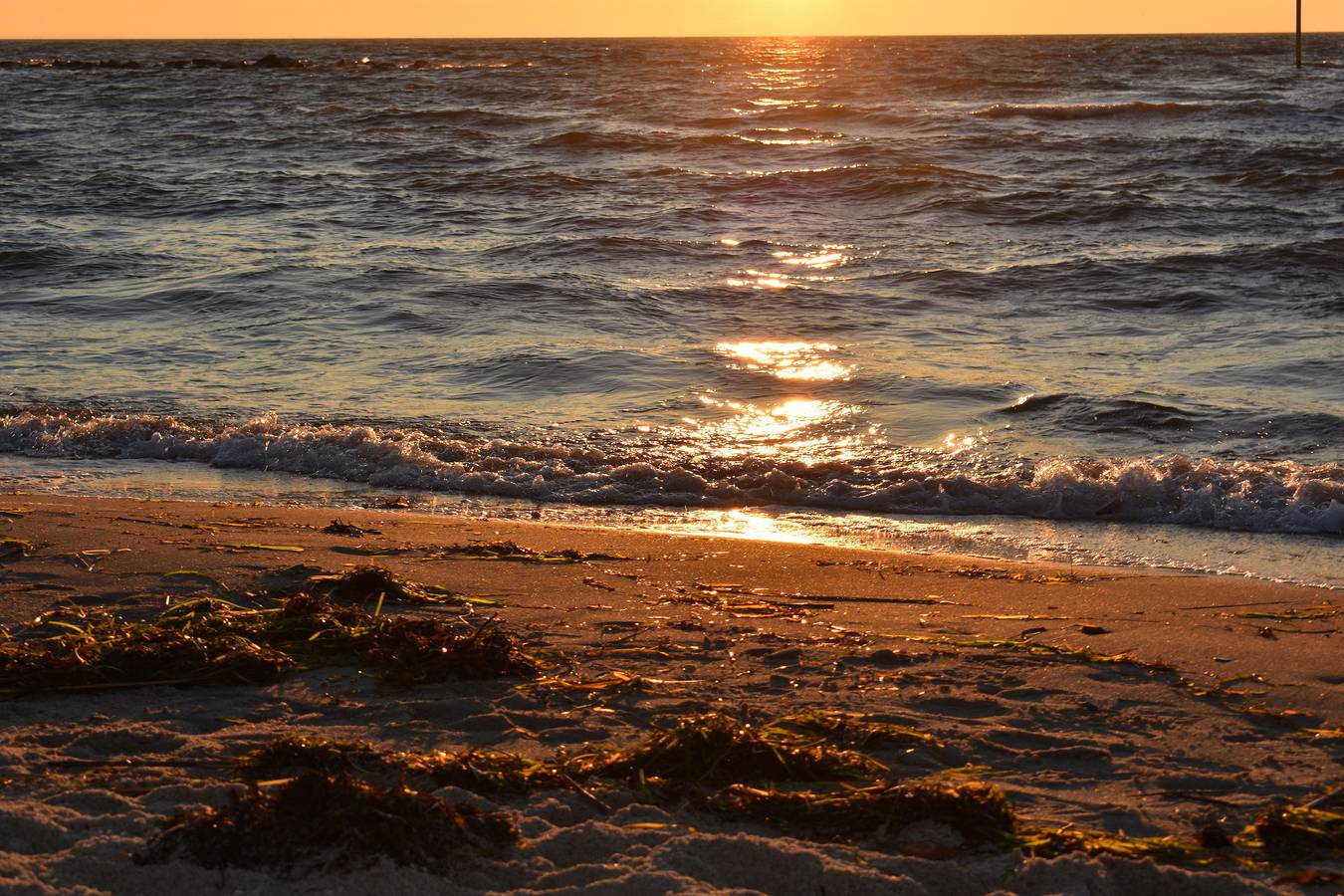 Ganze Ferienwohnung, Ferienwohnung Sibirian Husky in Klein Zicker, Mönchgut