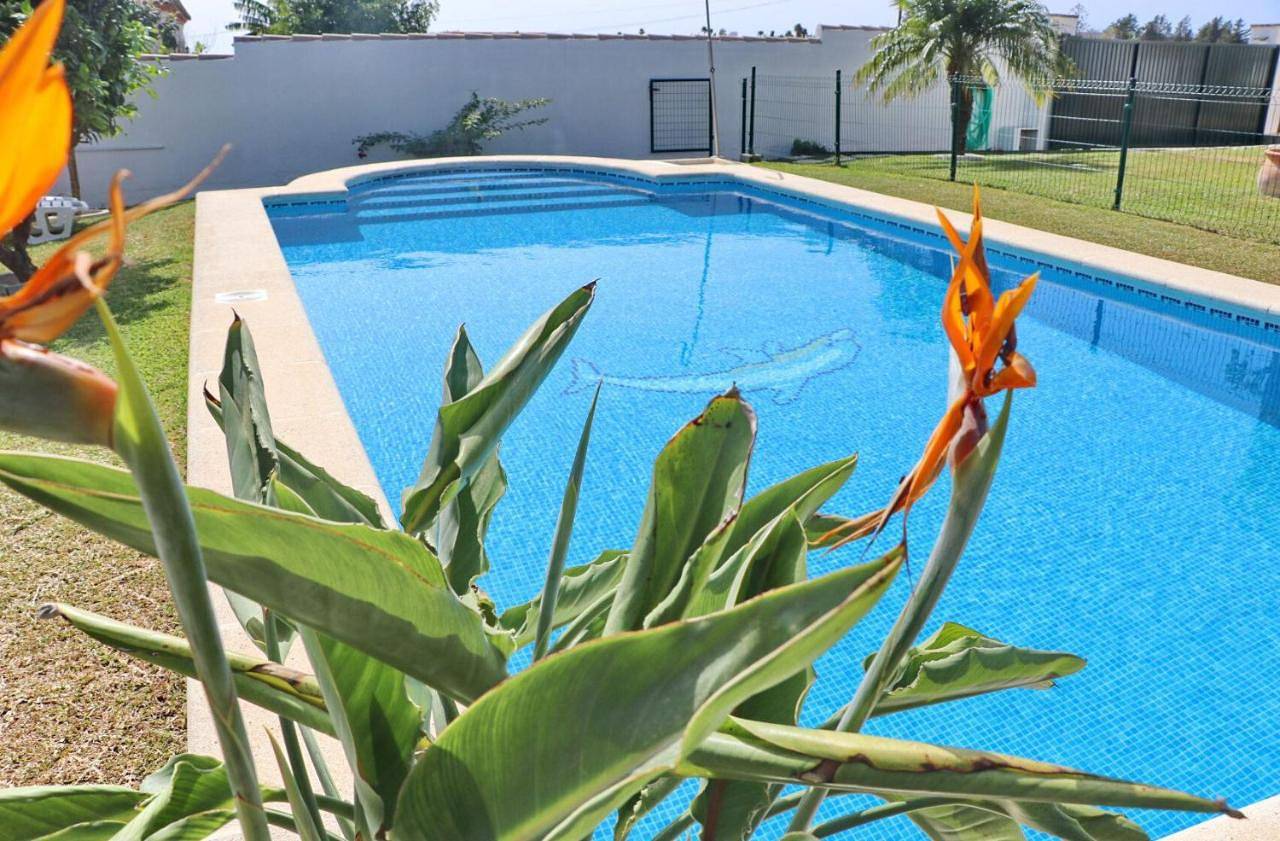 Ganze Wohnung, Bungalow Ramos in Fuente del Gallo, Conil de la Frontera