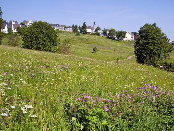 Ganze Ferienwohnung, Ferienwohnung "An den Kurwiesen" - Ferienwohnung "An den Kurwiesen" mit herrlichem Blick über die Berge und Täler in Masserberg, Rennsteig