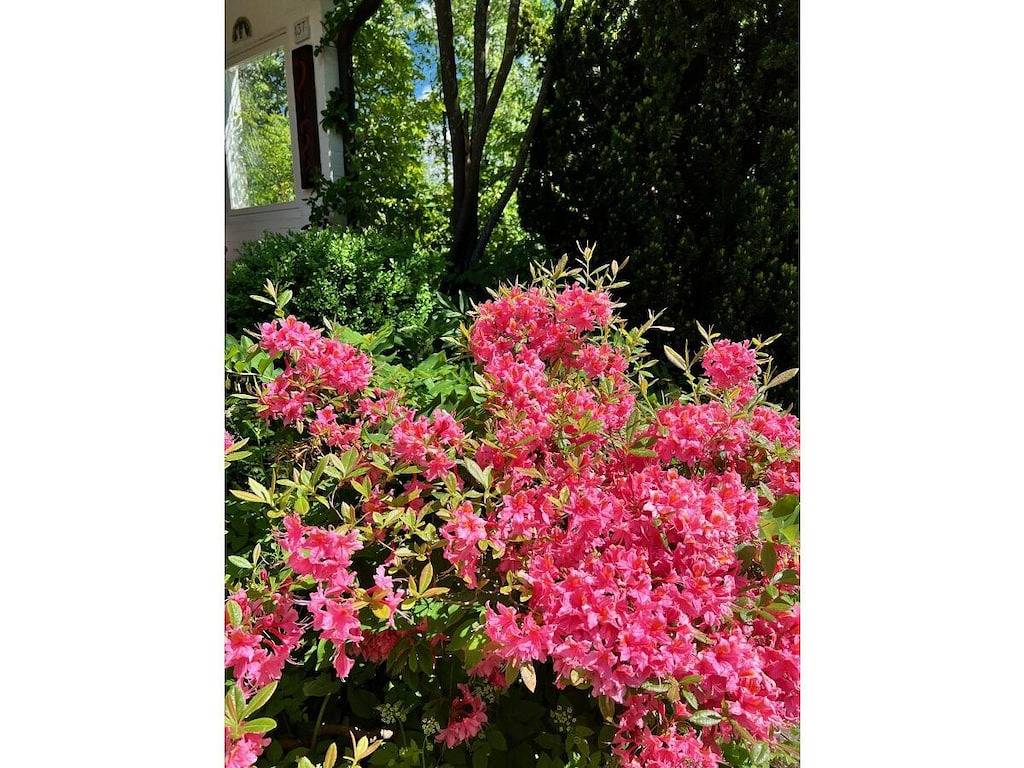 Casa de vacaciones con 4 dormitorios in Braunlage, Harzvorland