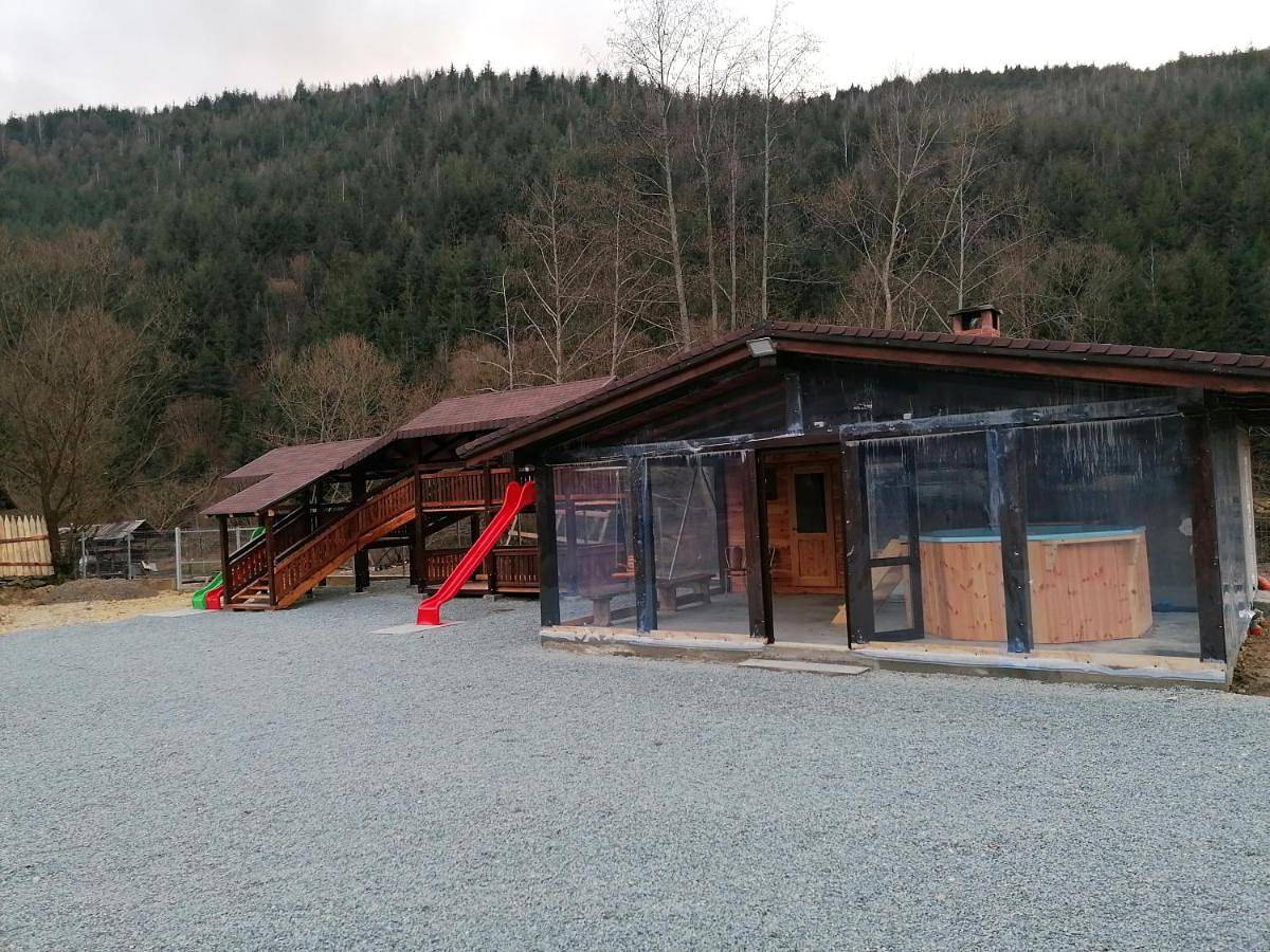 Pensiunea Armonia Albac in Alba (Romania)