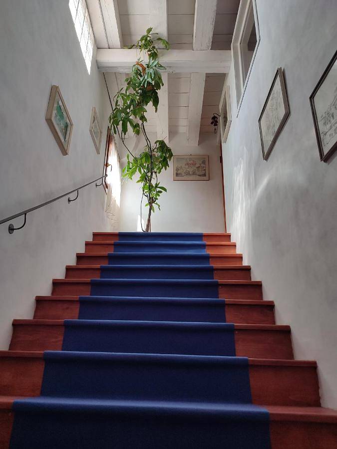 Gîte pour 3 personnes, avec terrasse et vue à Murano - 4