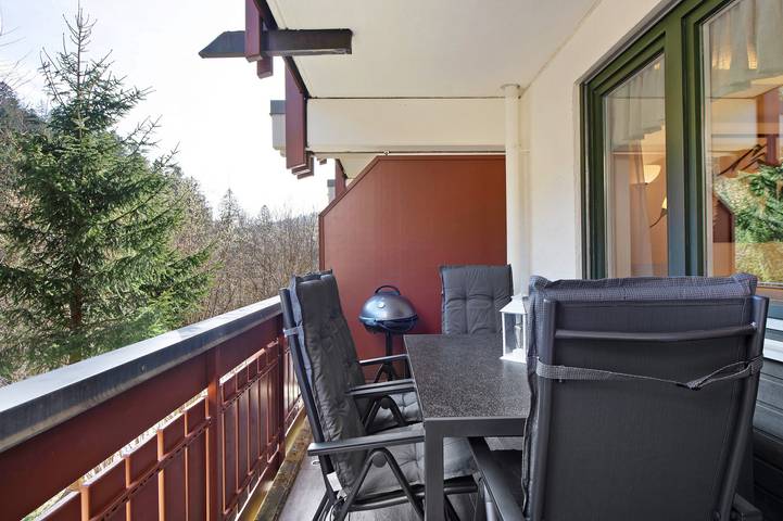 Ganze Wohnung, Ferienwohnung 'Fewo Buddy' mit Bergblick, Balkon und Wlan in Todtmoos - Vordertodtmoos, Todtmoos