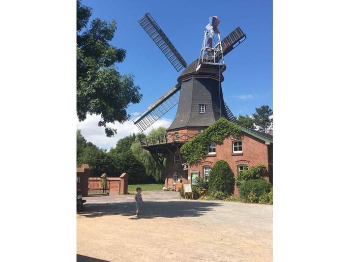 Ferienhaus für 5 Personen, mit Terrasse und Garten, mit Haustier in Jade - 2