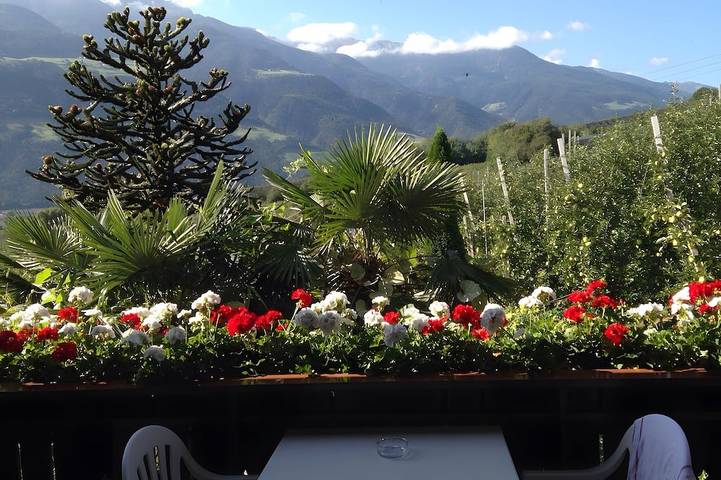Ferienwohnung für 4 Personen, mit Garten und Balkon sowie Pool, mit Haustier in Naturns - 4