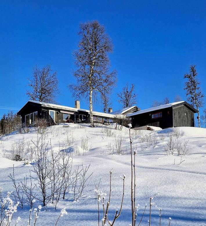 Ferienhaus für 8 Personen, mit Terrasse und Sauna, mit Haustier - 1