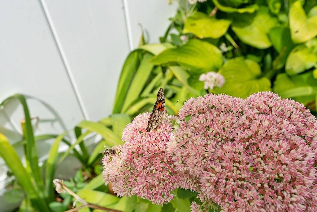 Charmantes Haus mit 3 Schlafzimmern in Barrington, Bristol County